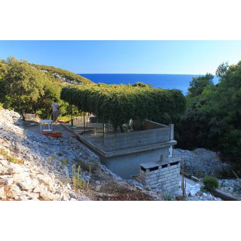 Secluded fisherman's cottage Cove Rasohatica, Korcula - 9233