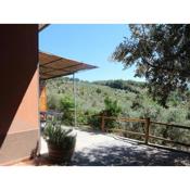 Snug Holiday Home in Castagneto Carducci near Thermal Bath