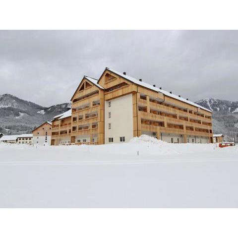 Spacious Apartment in Gosau near Ski Area