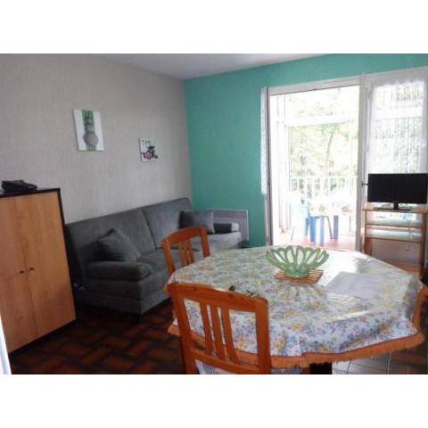 Studio Amélie-les-Bains-Palalda, 1 pièce, 2 personnes - FR-1-703-75