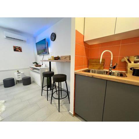 Studio apartman Eki - Trsat