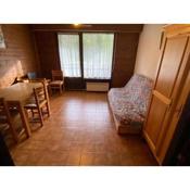 Studio La Chapelle-d'Abondance, 1 pièce, 4 personnes - FR-1-692-64