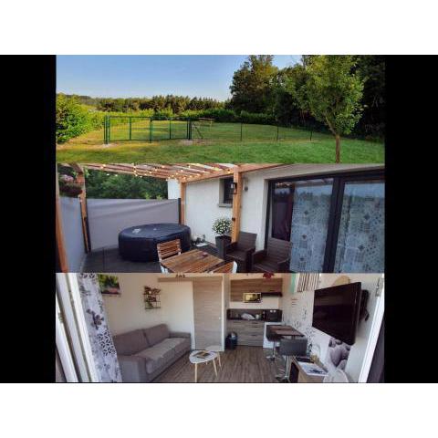 Studio , Spa , nature et forêt au cœur des Vosges