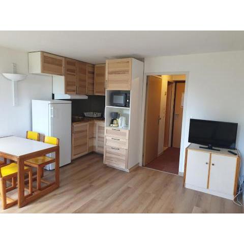 Studio Villard-de-Lans, 1 pièce, 4 personnes - FR-1-515-163