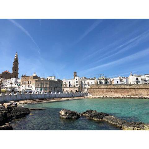 Tiny House Monopoli