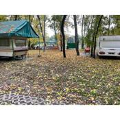 Tisza-beach wild camping 5