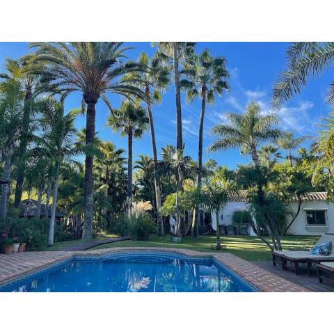 Villa in a palm tree plantation