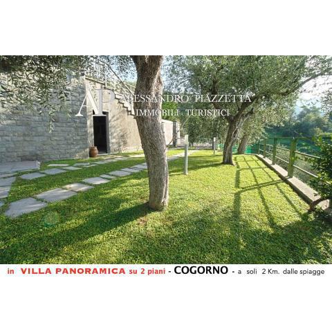 Villa tra gli ulivi - bellissima vista panoramica