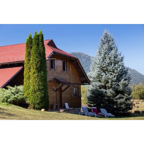 WoodenHouse with two Apartments