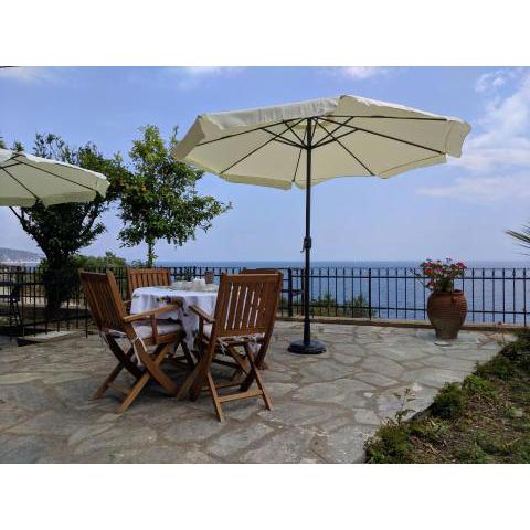 Zennova #3 Mount Athos & Sea View